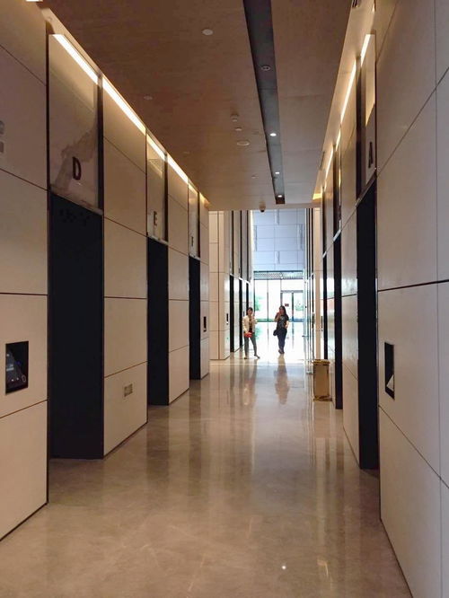 2019年廣西建筑裝飾工程優(yōu)質(zhì)獎(jiǎng)精品工程——廣西九洲國際項(xiàng)目大堂裝飾裝修工程